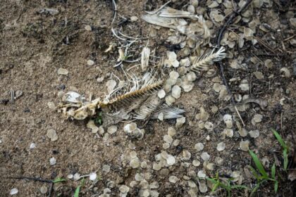 quebec-chemical-firm-hit-with-$1.4-million-fine-over-substance-discharged-in-river