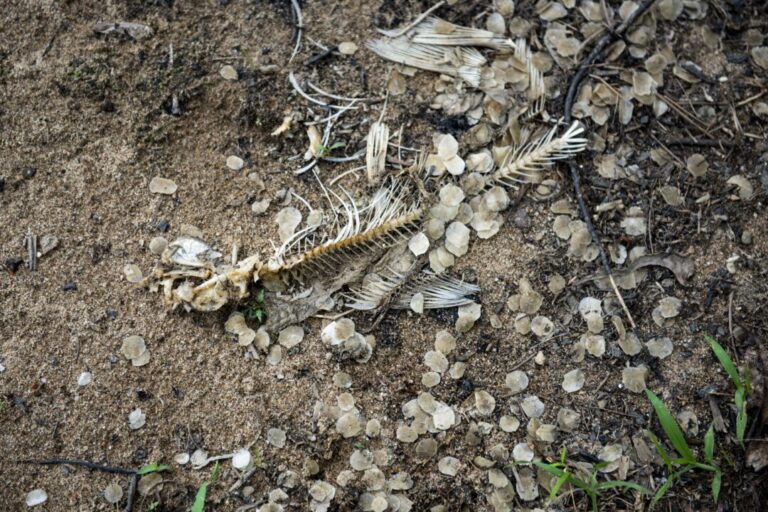 quebec-chemical-firm-hit-with-$1.4-million-fine-over-substance-discharged-in-river