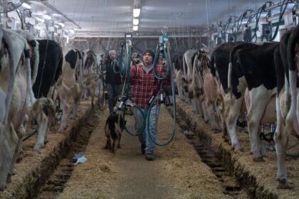 oecd-calls-on-canada-to-reduce-support-it-gives-to-dairy-industry