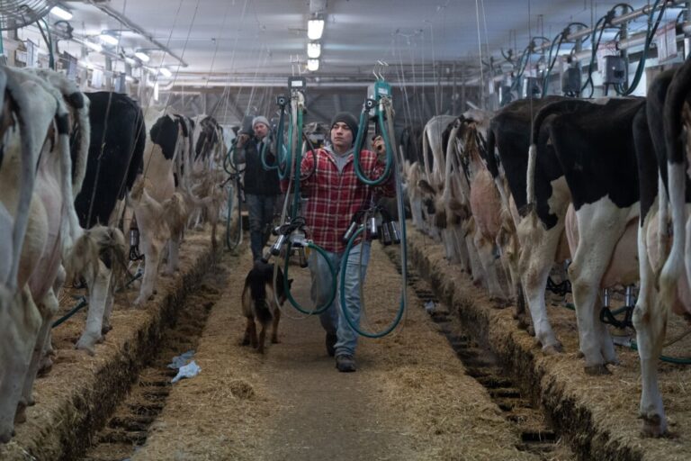 oecd-calls-on-canada-to-reduce-support-it-gives-to-dairy-industry