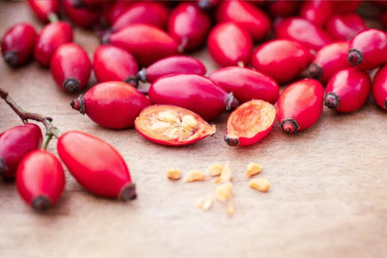 how-to-use-rose-hips-for-an-autumn-boost-of-vitamins-c-and-e