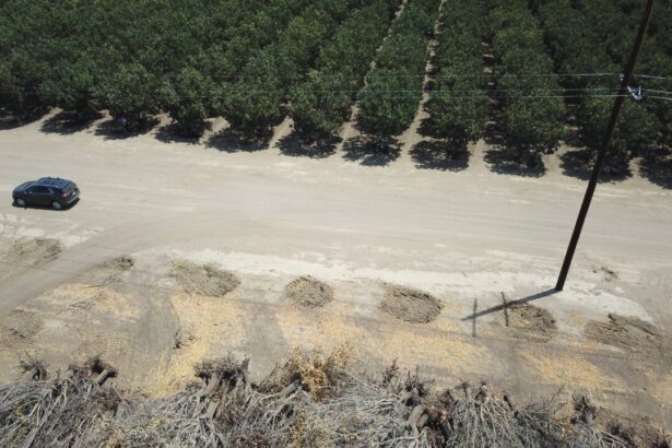 california-farming-ceo-flags-investment-pitfalls,-urges-sustainable-focus