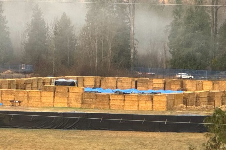 ostriches-culled-at-bc-farm,-cfia-says