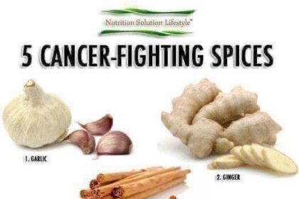 the-food-we-eat-becomes-the-body-we-live-in