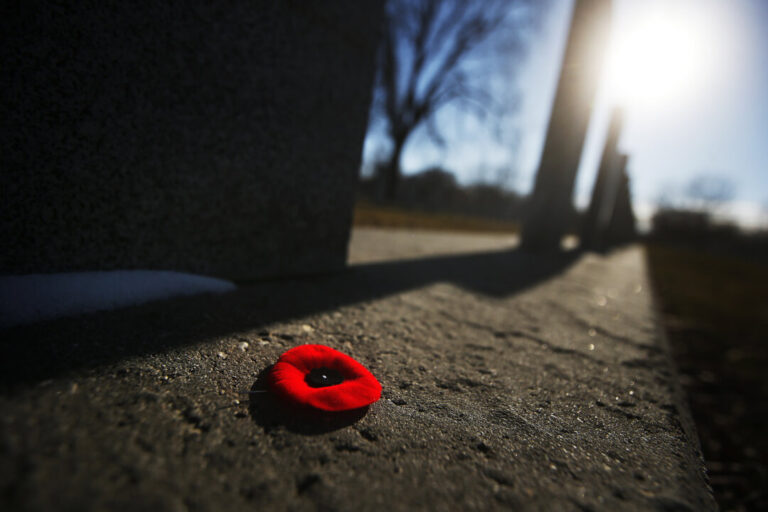 nova-scotia-chief-justices-support-judges-banning-employees-from-wearing-poppies-in-courtroom