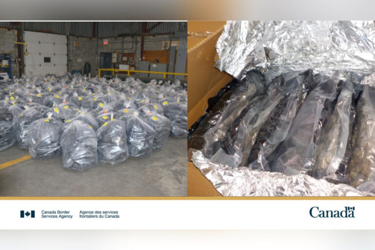 canada-border-agency-seizes-2,700-kilos-of-cannabis-destined-for-uk