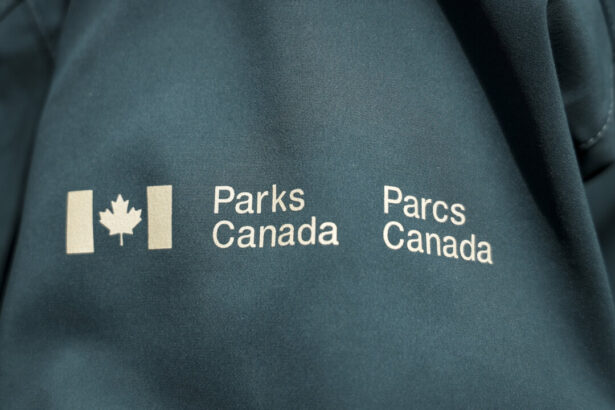 skier-‘uninjured’-after-being-caught-up-in-avalanche-in-banff-national-park:-parks-canada