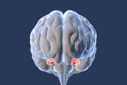 why-your-brain-overreacts-to-fear—and-how-to-fix-it