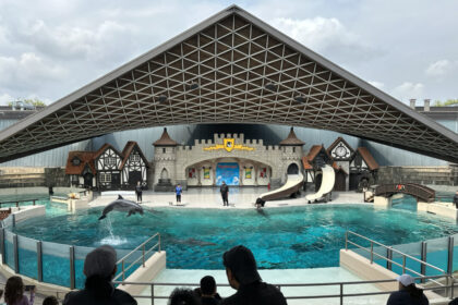 marineland-has-solid-plan-to-move-whales-and-dolphins-to-us,-minister-says
