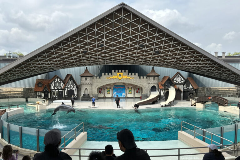 marineland-has-solid-plan-to-move-whales-and-dolphins-to-us,-minister-says