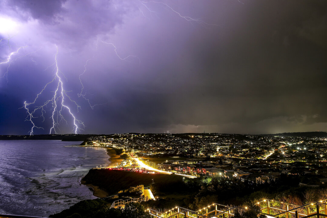 minister-orders-culture-reset-at-bom-after-website-blowout-soars-to-$96-million