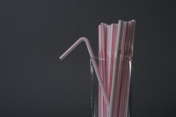 federal-appeal-court-backs-ottawa-on-single-use-plastics-ban