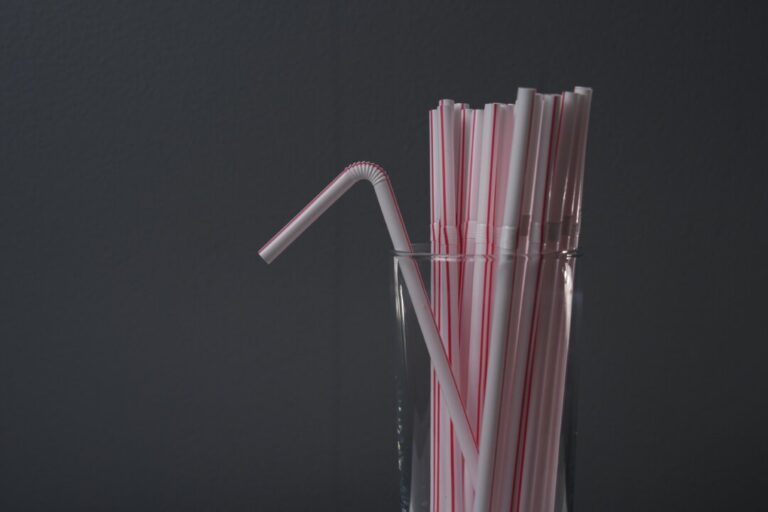 federal-appeal-court-backs-ottawa-on-single-use-plastics-ban