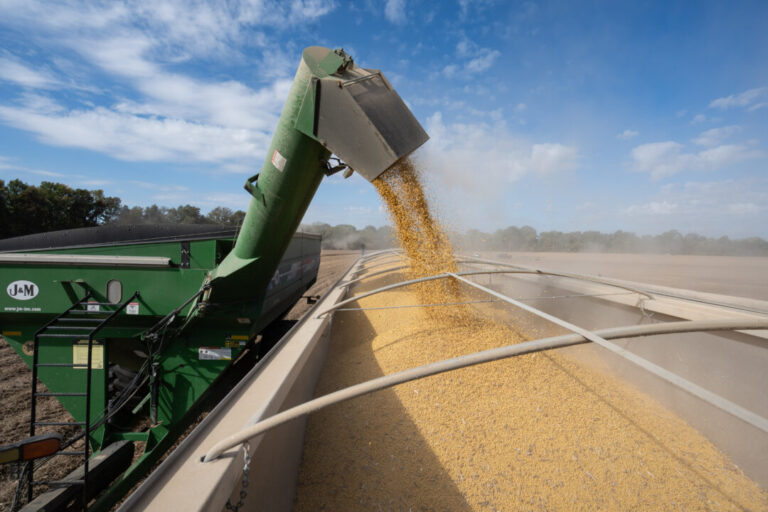 trump-admin-to-announce-aid-package-for-farmers-amid-china-soybean-deal-within-weeks