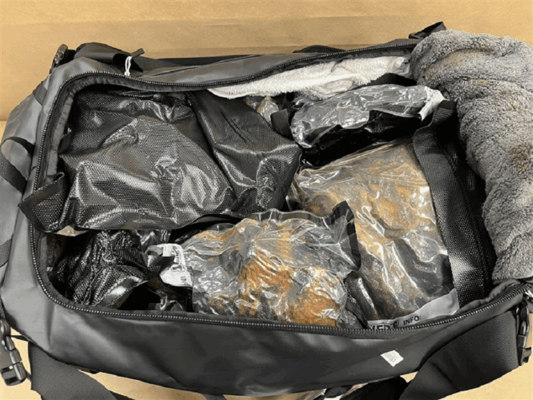 347-charges-laid-in-major-new-zealand-drugs-sweep