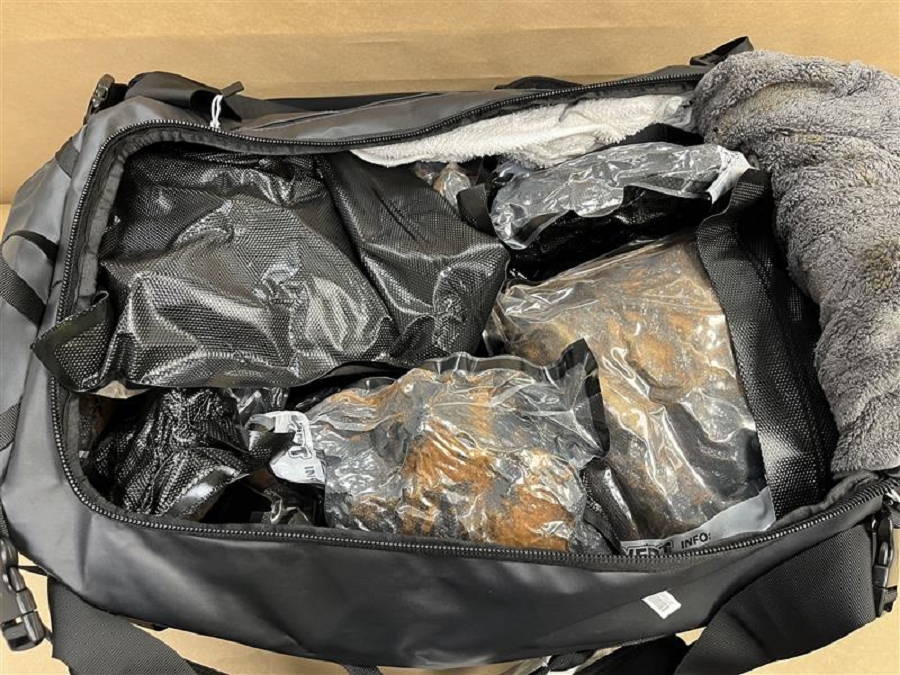 347-charges-laid-in-major-new-zealand-drugs-sweep