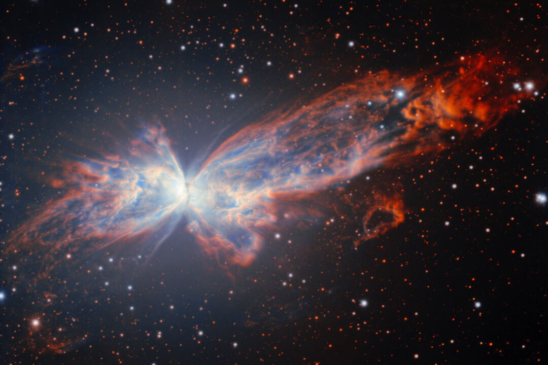 telescope-in-chile-captures-stunning-new-picture-of-a-cosmic-butterfly