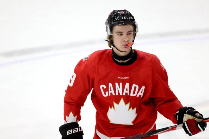 top-nhl-draft-prospect-gavin-mckenna-charged-with-aggravated-assault-in-us